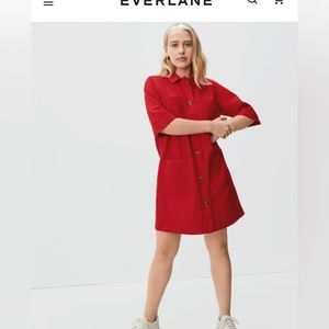 Everlane Chore Mini dress